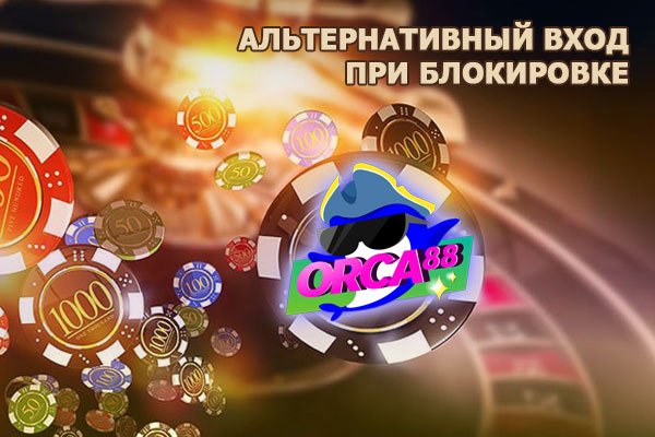 Как вернуть аккаунт на кракене