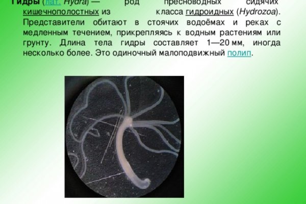 Ссылки на даркнет
