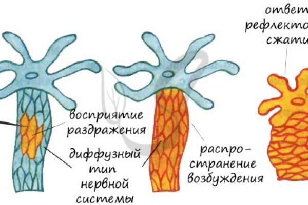 Кракен онион