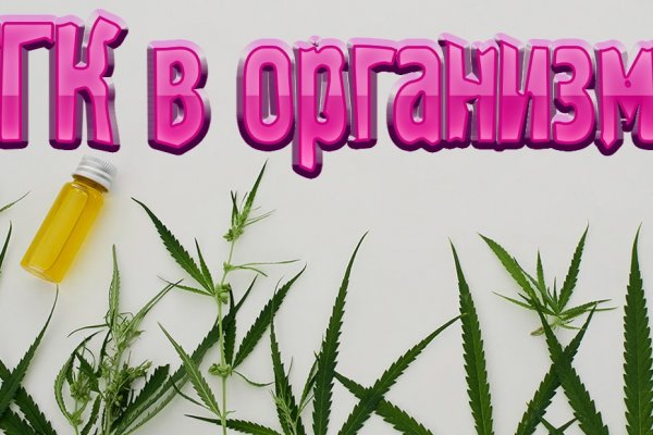 Кракен тор gigageek ru