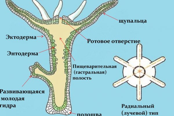Кракен маркетплейс что продают