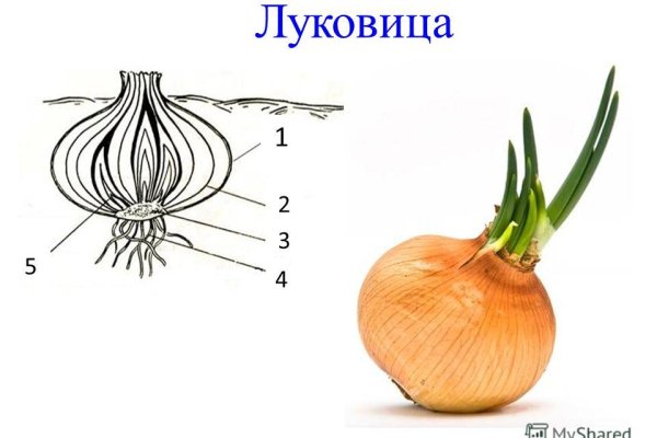 Спрут мега кракен