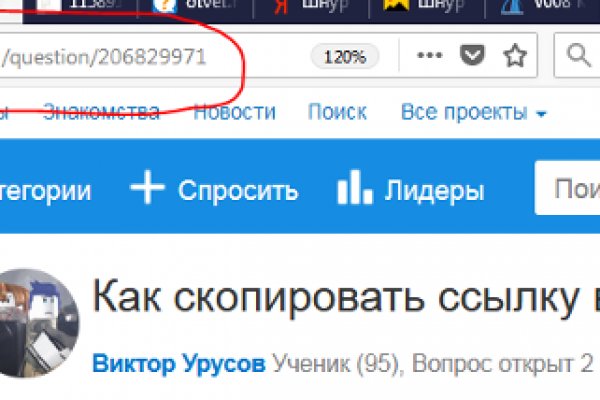 Kra40.cc