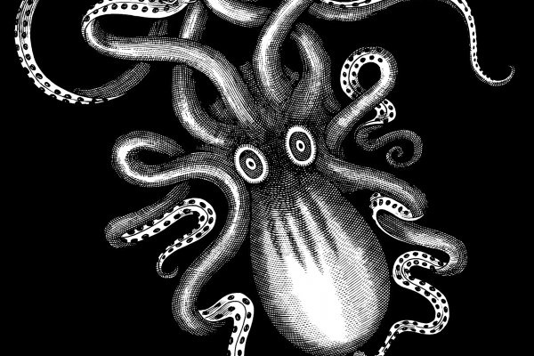 Kraken ссылка зеркало официальный