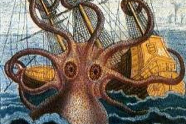 Kraken 19 at
