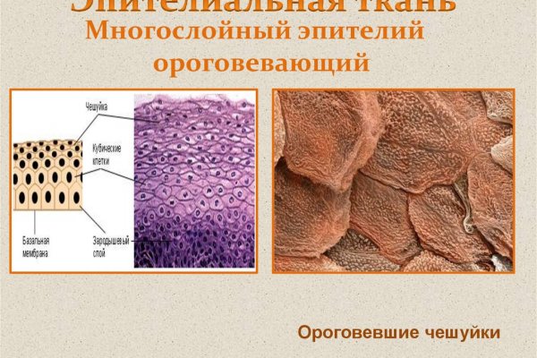 Kraken даркнет рынок