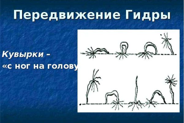 Найти ссылку кракен