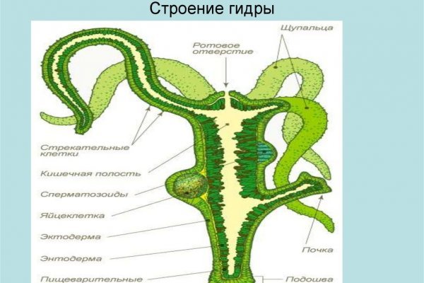 Что продают в кракен маркете
